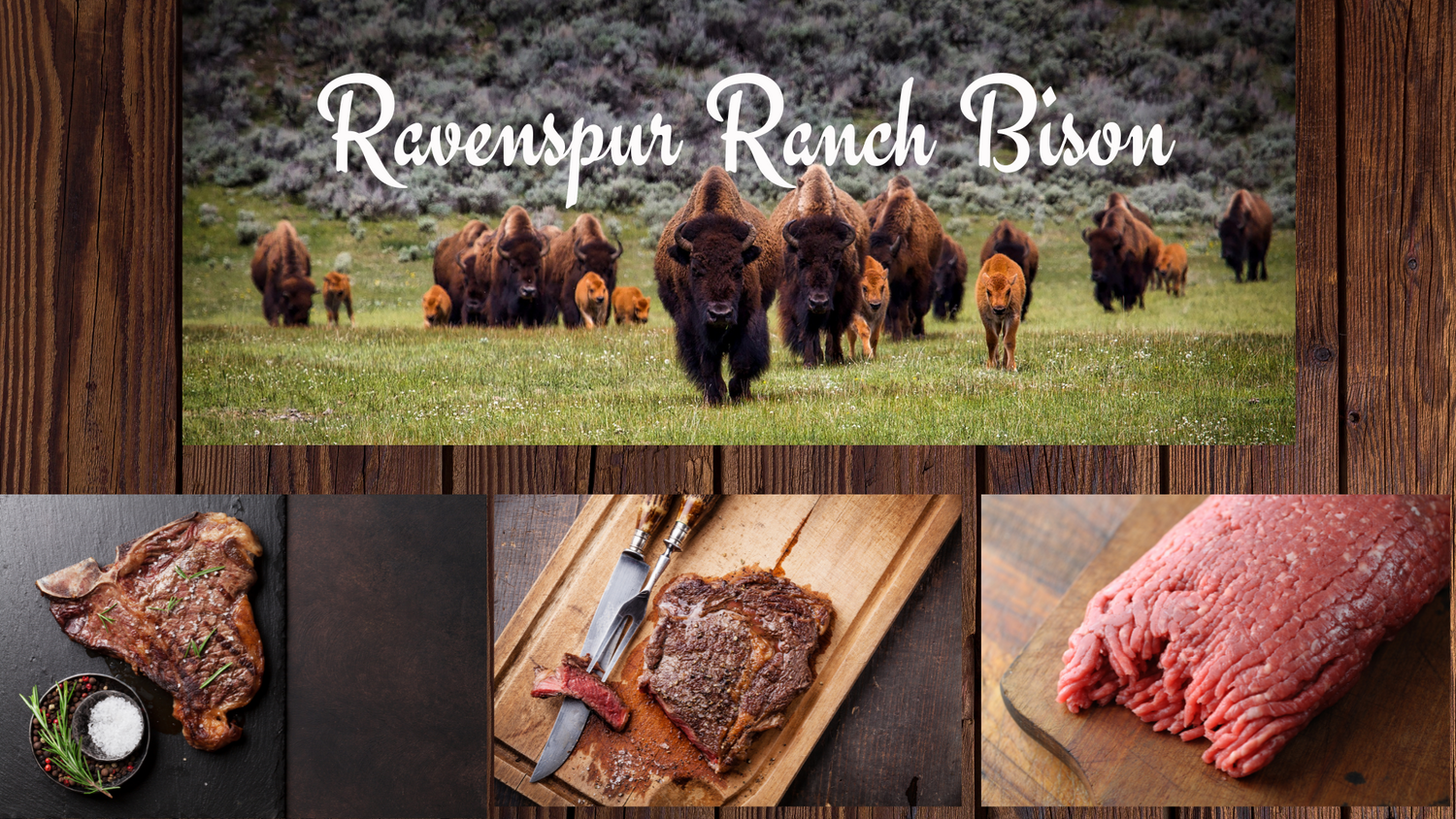 Raven Spur Ranch Bison
