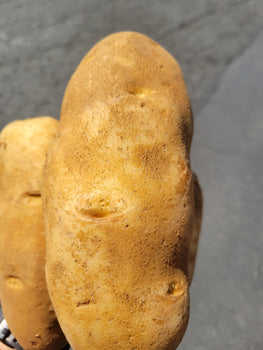 Idaho Famous Jumbo Russet Potatoes (4 each)