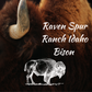 Bison Rib Steak  (2 pack) 14 oz steaks