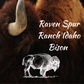 New!  Idaho Bison Sampler pack
